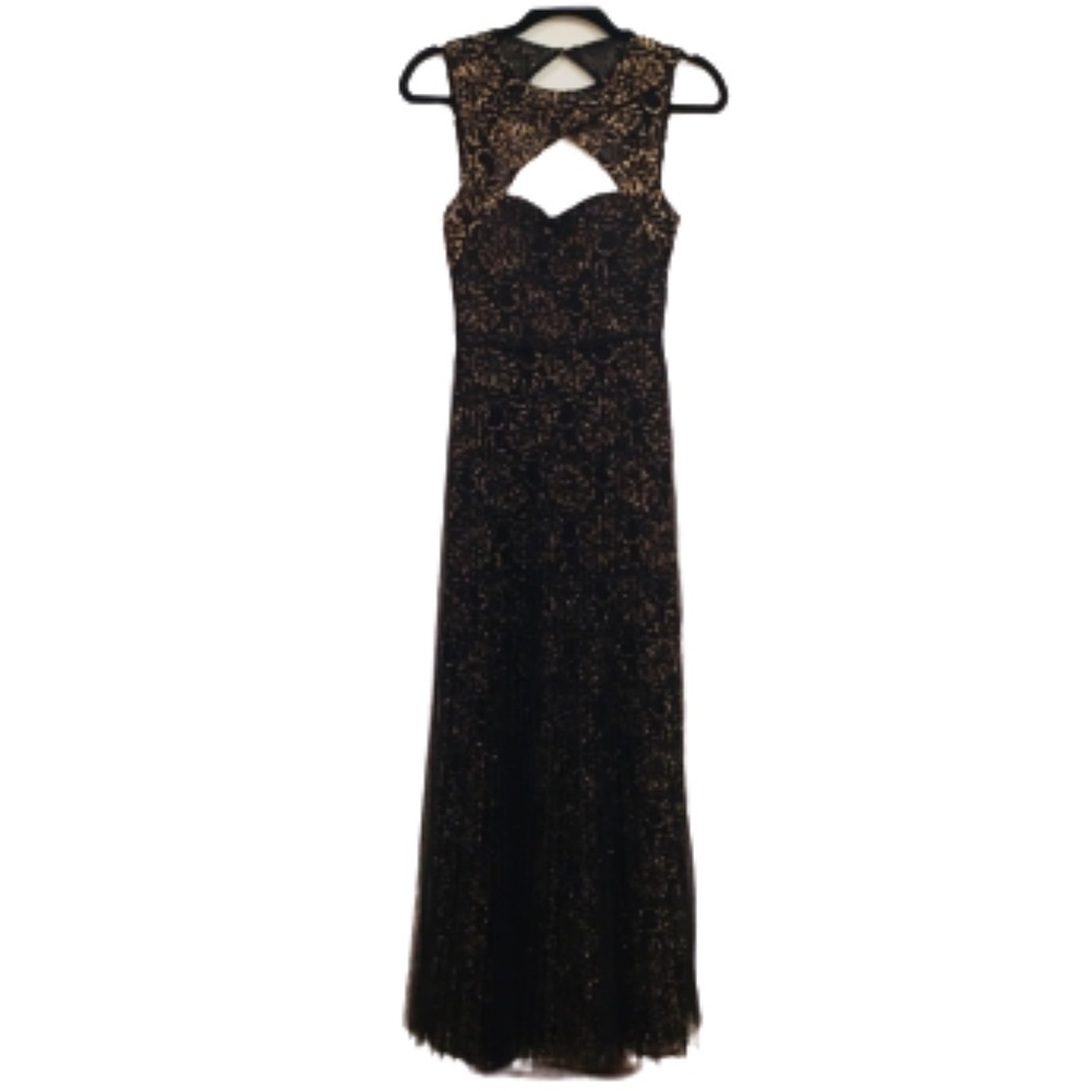 BCBG | Black &Gold Open Back Tulle Pleated Gown